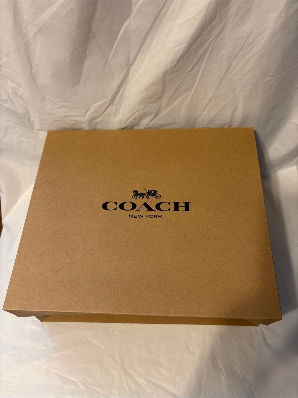 Coach Lyla Crossbody Bag NWT - Picture 16 of 16